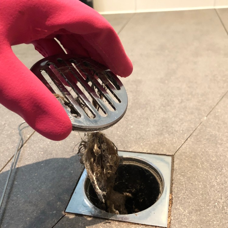 Plumbing services in Springfield, OR